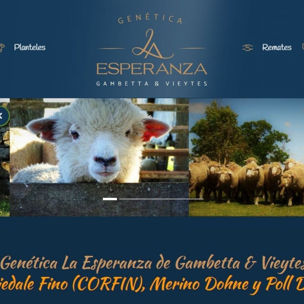 Corriedale Fino CORFIN, Merino Dohne y Poll Dorset.